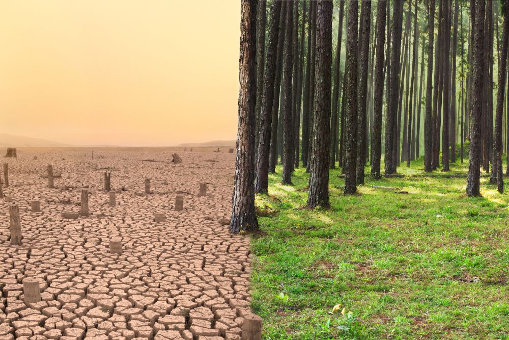 January Climate Positivity Report